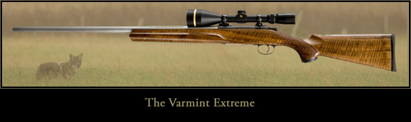 Cooper Rifles of Montana Varmint Extreme rifle