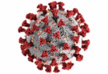 6 Worst Flu Epidemics Preceding Coronavirus Coronavirus