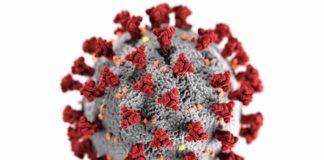6 Worst Flu Epidemics Preceding Coronavirus Coronavirus