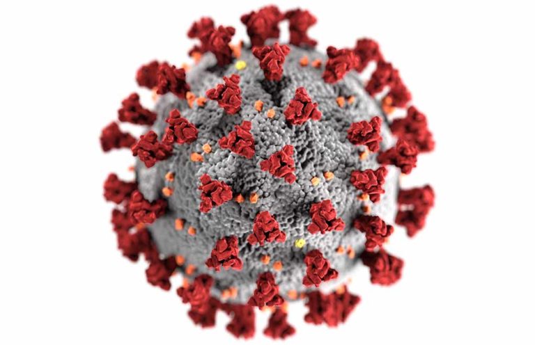 6 Worst Flu Epidemics Preceding Coronavirus