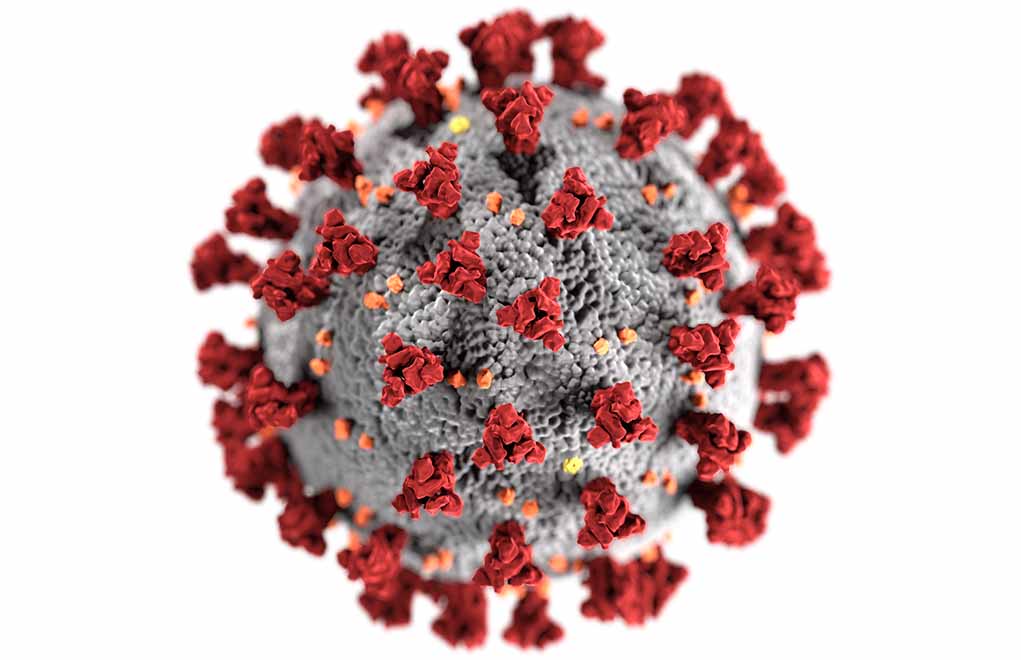 Illustration of a coronavirus.