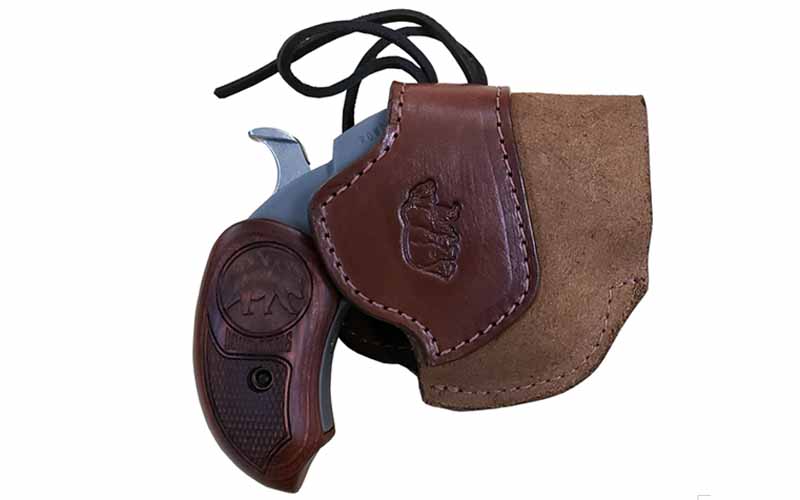 Grizzly in holster