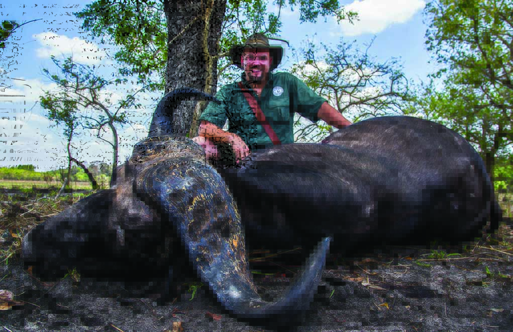The author with a Cape buffalo bull, taken with a Heym Model 89B in .450/400 3-inch Nitro Express, handloaded with 400-grain Peregrine BushMaster soft-points.