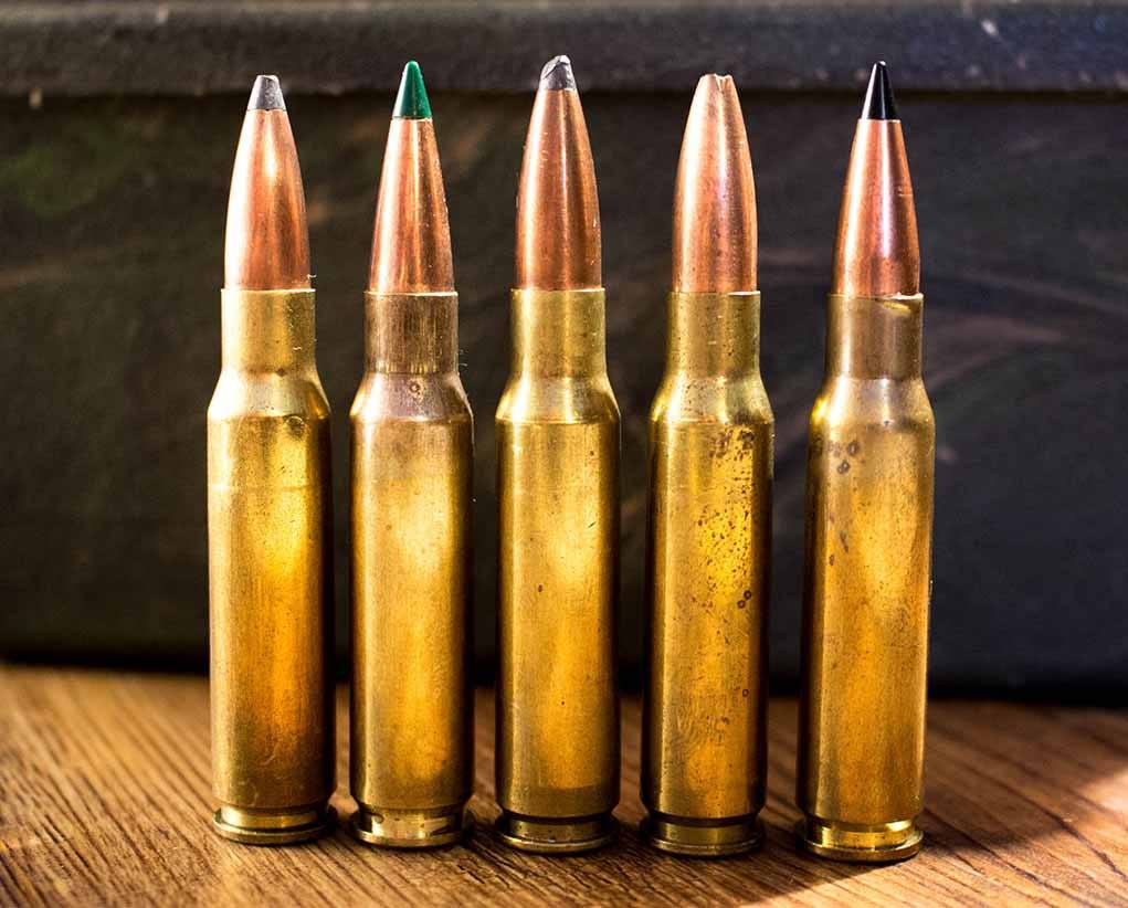 A spread of .308 Winchester ammunition. Photo: Massaro Media Group.