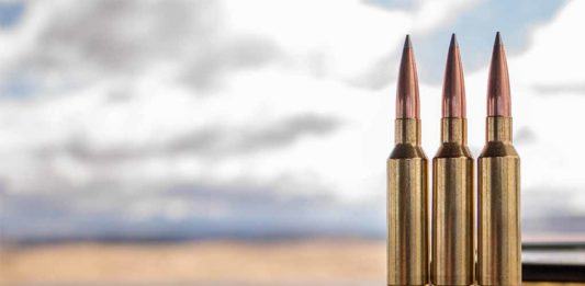 Hornady A-Tip 13