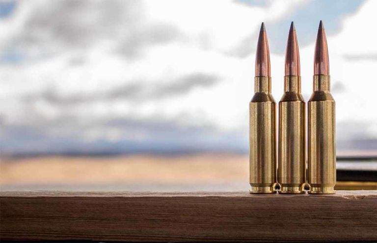 Do Hornady A-Tip Bullets Change The Long-Range Game?