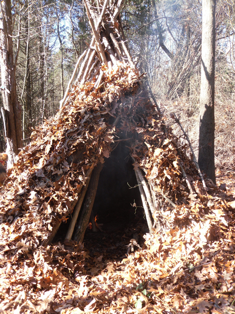 How to Make a Wikiup Survival Shelter