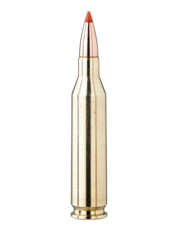 Know Your Cartridge: .243 Winchester