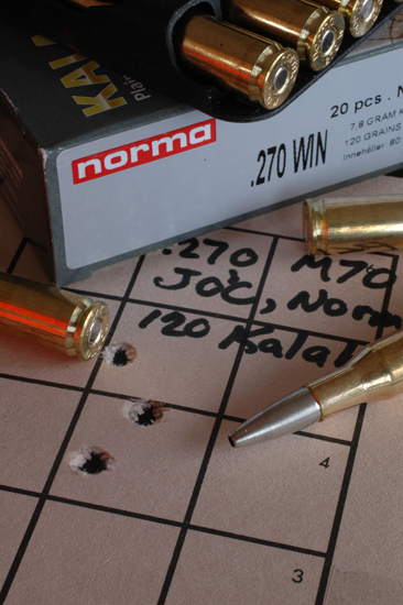 Hunting bullets from Kalahari