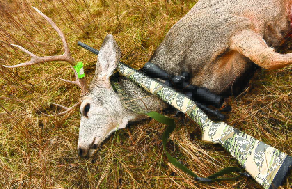 A Hornady ELD-X 6.5mm 143-grain softpoint handled this big-bodied mule deer very nicely.