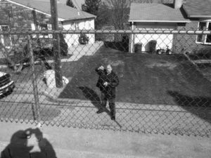 On the other side of the fence