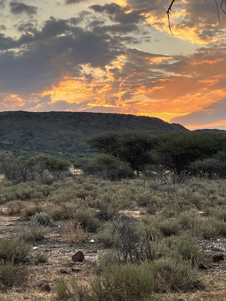 Kudu Hunting 1