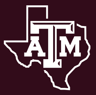 Texas A&M Students Want Concealed Carry on Campus