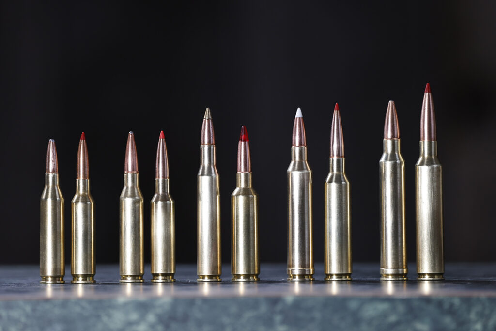 Long-Range Hunting ammo comparison