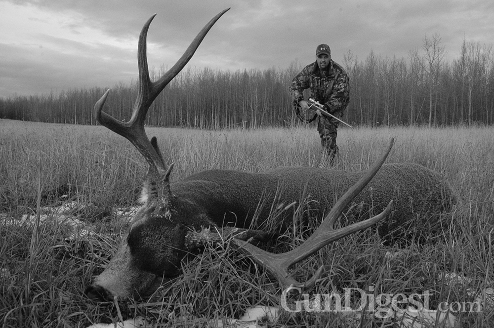 A bullet may have to travel far across Alberta stubble. This hunter took care with his shot and made it good. Cartridges like the .270 and .280 and the 7mm magnums excel here.