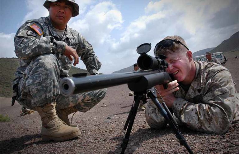 M24 Sniper Rifle: The Long-Range Legend