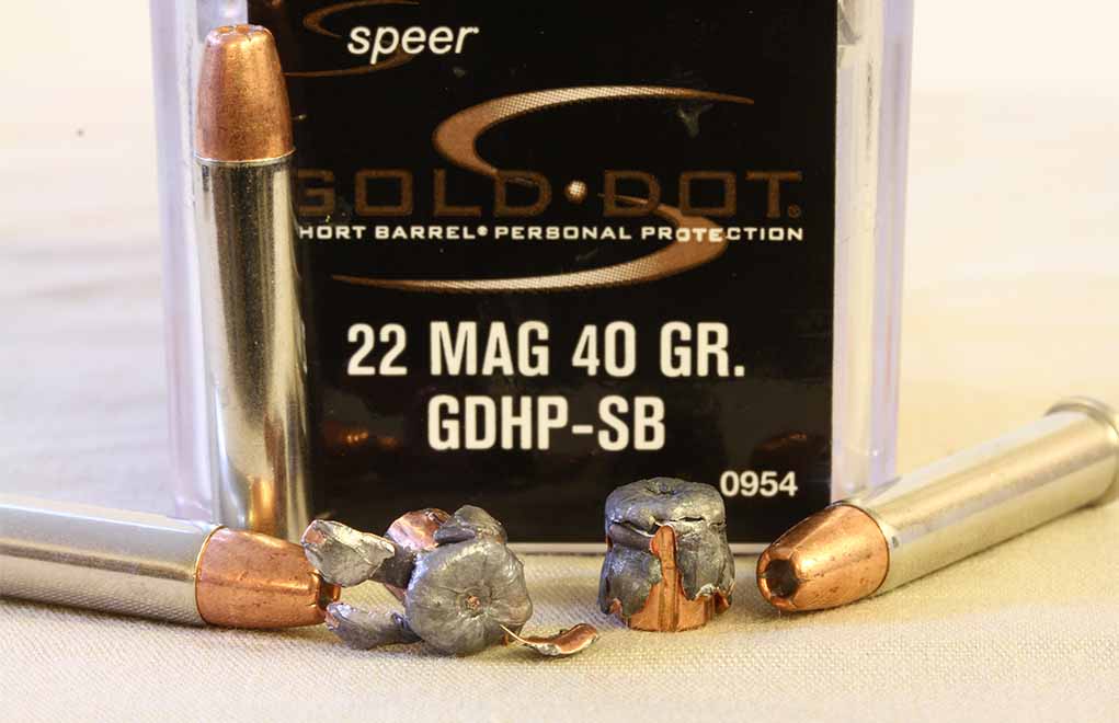 The .22 Magnum offers a better bullet at higher velocity, but at more cost and noise. (Recoil is still pretty minimal.) 