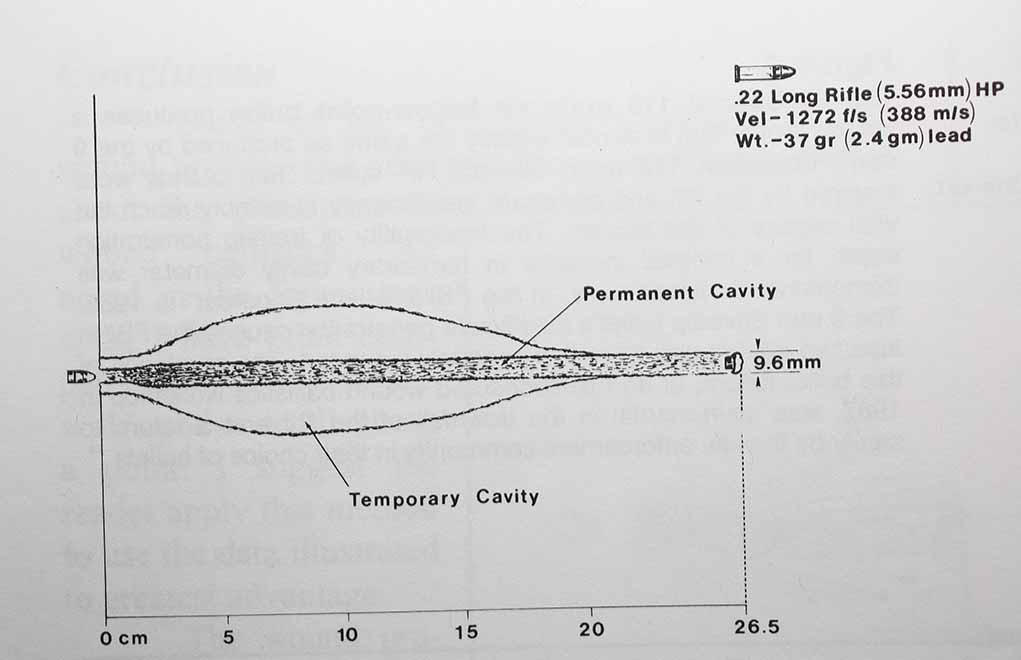 Diagram of the permanent and temporary wound cavity left from a .22 LR bullet.