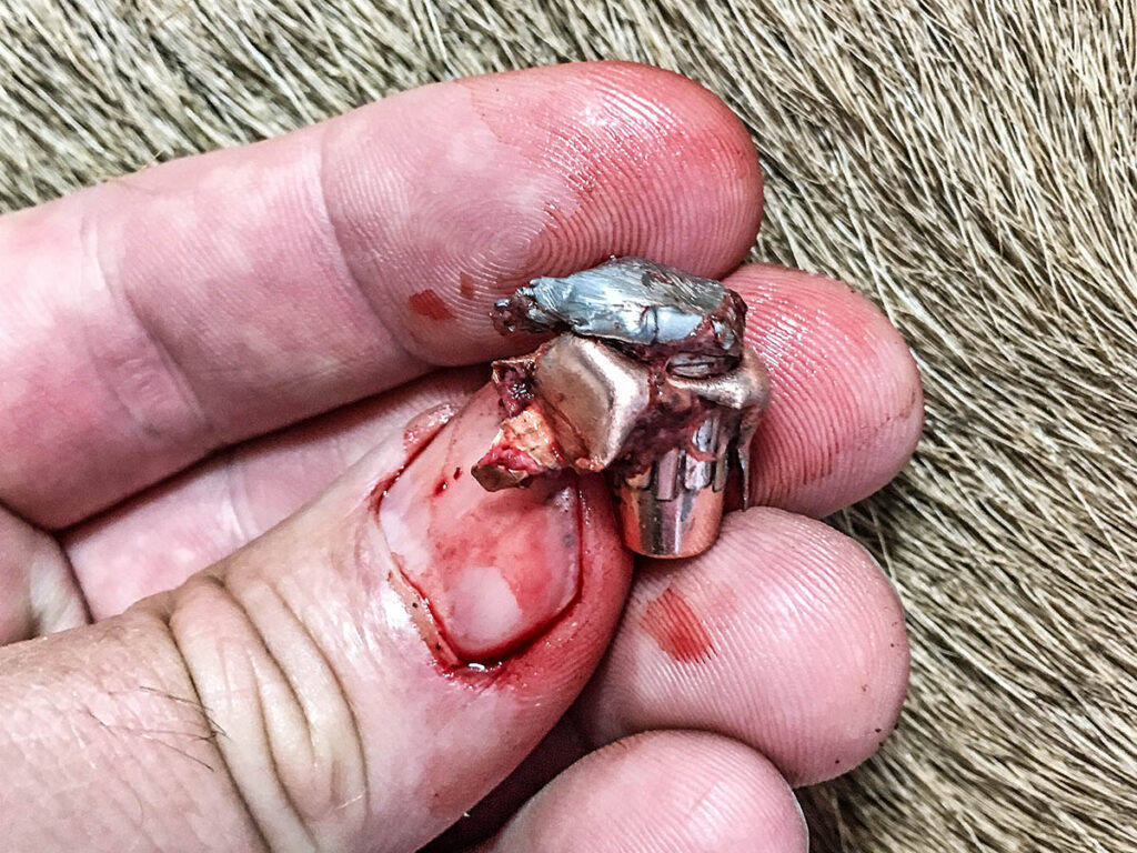 Modern Rifle Bullets 1