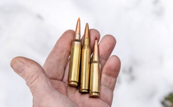 Modern Rifle Bullets: Baby Steps Toward Perfection Modern Rifle Bullets 6