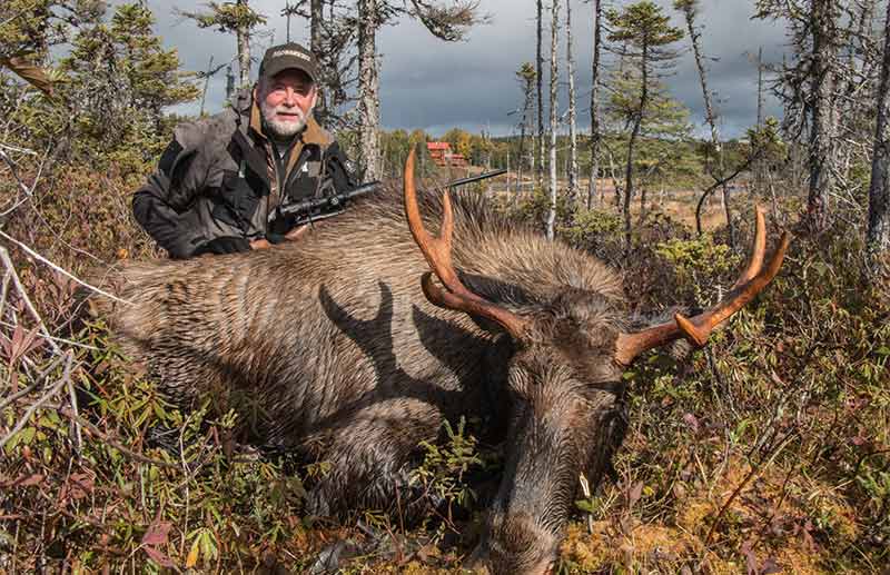 Mossberg-Patriot-moose
