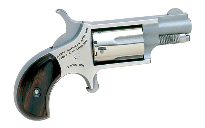 NAA Mini Revolver 22lr