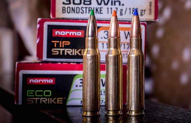 Norma Strike Series: Bench Performance Hunting Ammo
