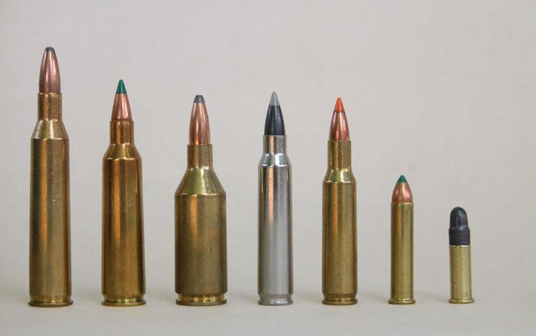 Ammo: Does Case Shape Really Matter?