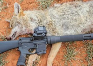 .223 Double Cottontail Disabled Veteran Made Predator Coyote Fox Cartridge Calls 