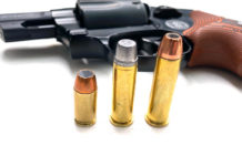 The Diet Of A Pocket Gun Pocket Gun Diet