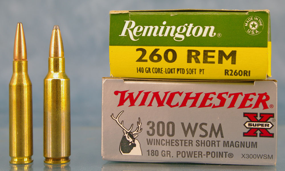 Eastern Whitetail hunters need look no further than good old Power Point, Core Lokt and similar “standard line” ammo.