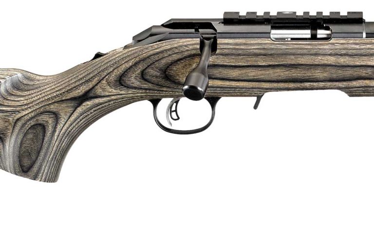 Does the New Ruger American Rimfire Target Rifle Score a Bull’s Eye?