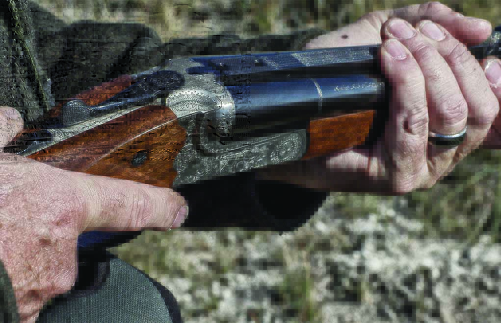 Double-guns are often associated with hard-kicking cartridges. However, most double-guns are heavy, and a heavy rifle is one way to mitigate felt recoil.
