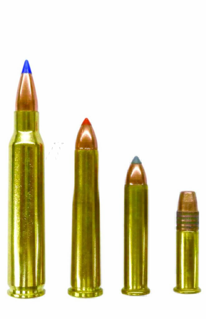 By careful loading, the .223 Remington (left) can duplicate the performance of the .22 Hornet, .22 WMR or .22 LR.