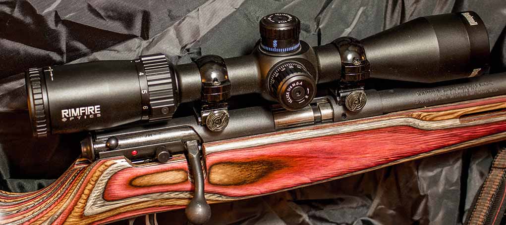 A Bushnell Rimfire 3-9x on a Savage MarkII BRJ .22 Long Rifle. Optics for rimfires can be very diverse, depending upon your desired use for the setup. 