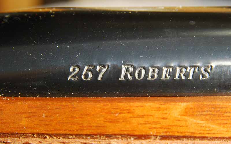 Ruger-Hawkeye-257-Roberts-marking