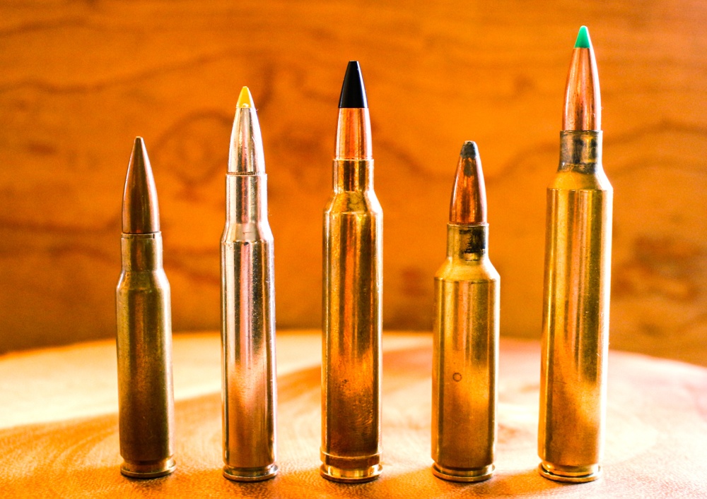 This puts the 300 Win. Mag. in perspective with some other well-known cartridges. Left to right are the 308 Win., 30-’06 Springfield, 300 Win. Mag., 300 WSM and 300 RUM.