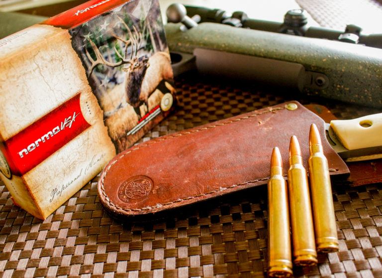 .300 Win. Mag.: The Answer To Most Hunting Questions