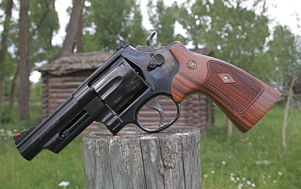 MODEL 29