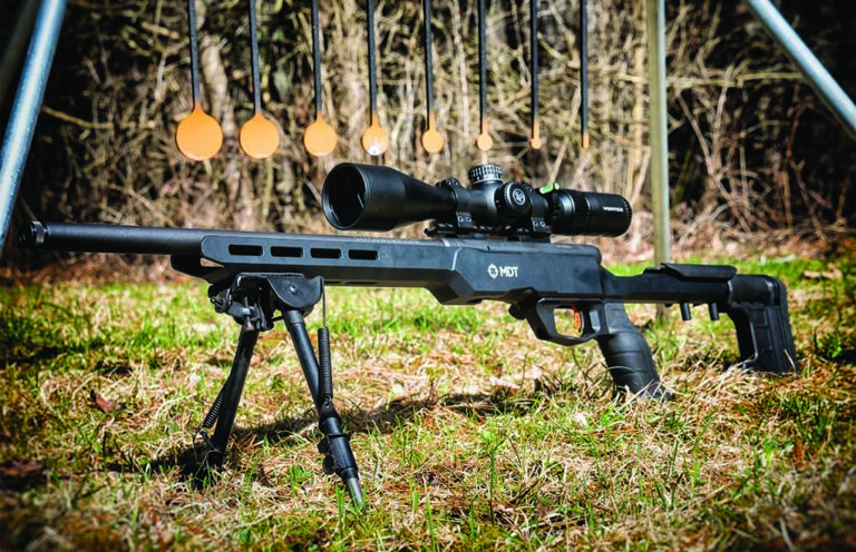 The Dime Busting Savage B22 Precision Chassis Rimfire