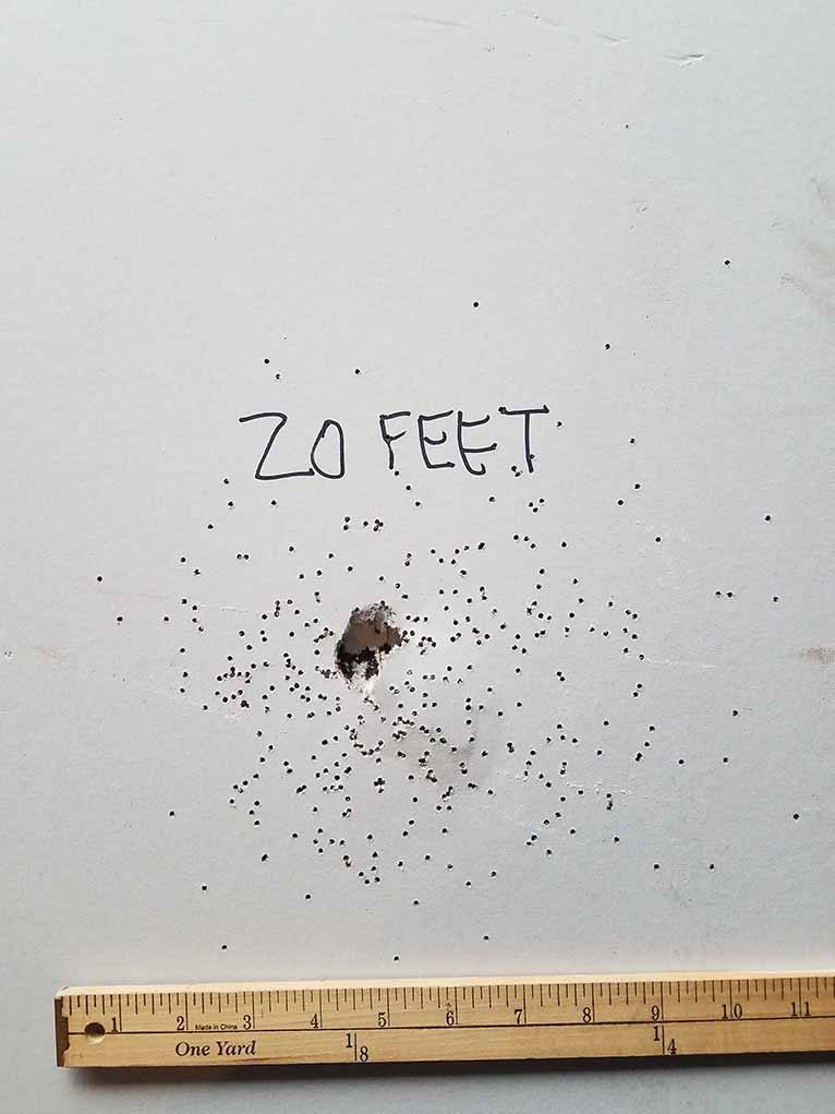 Pattern of No. 7½ birdshot, shot from 20 feet, entrance hole into first wall.
