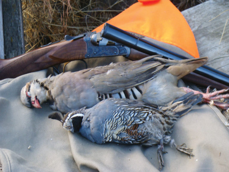 Three Great Wingshooting Destinations