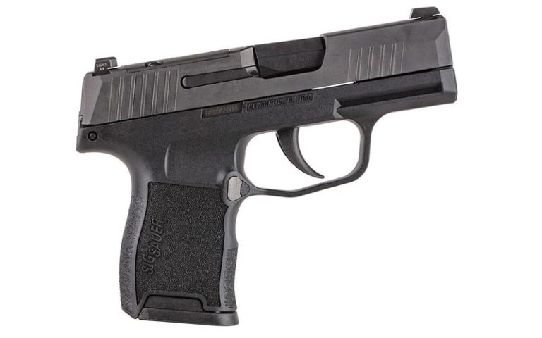 6 Best Sig Sauer Pistols For Concealed Carry (2023)