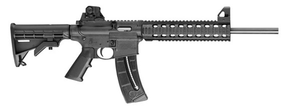 According to Congresswoman Dianne Feinstein (D), this is an "assault weapon." The rest of us regard this .22 as a squirrel hunting rifle. Are BB guns next?