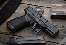 First Look: Springfield Echelon COA Models Springfield Echelon COA Models