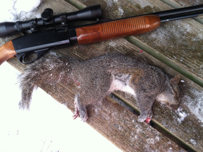 It’s Time to Rethink Squirrel Hunting