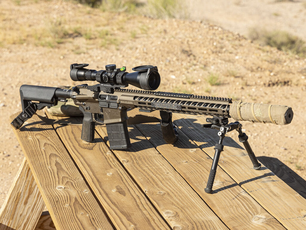Suppressed AR-10
