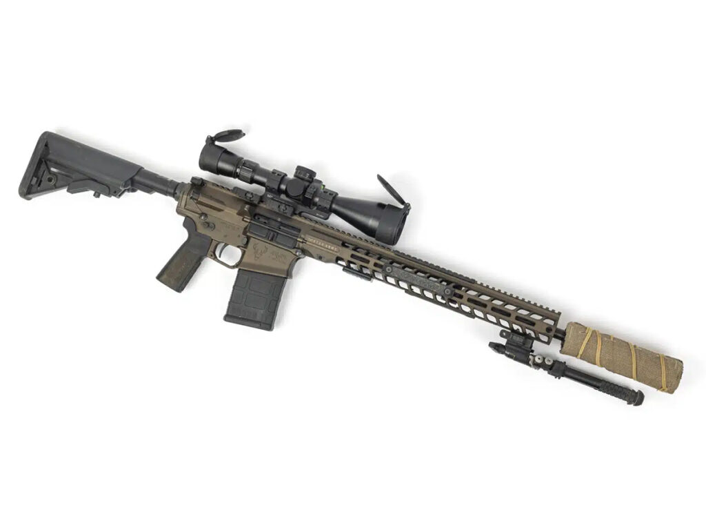 Suppressed AR-10 2
