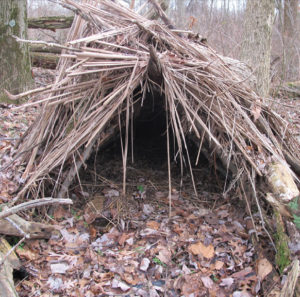 There are lots of survival shelter designs out there, but ideally they should all be located according to these five tips. 