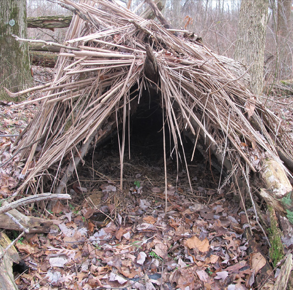 5 Tips for Where to Build Survival Shelters